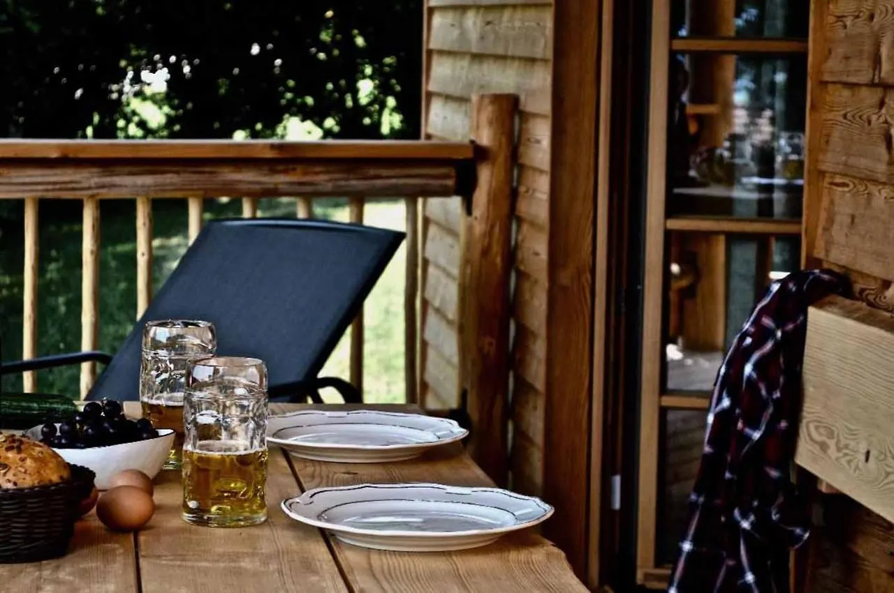 Chalet Huetten Am Waldrand Altnussberg Germany